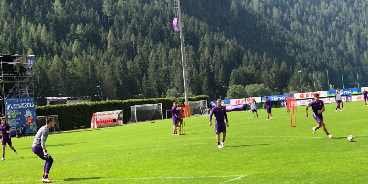 Allenamento Fiorentina modello Allenamento Fiorentina modello