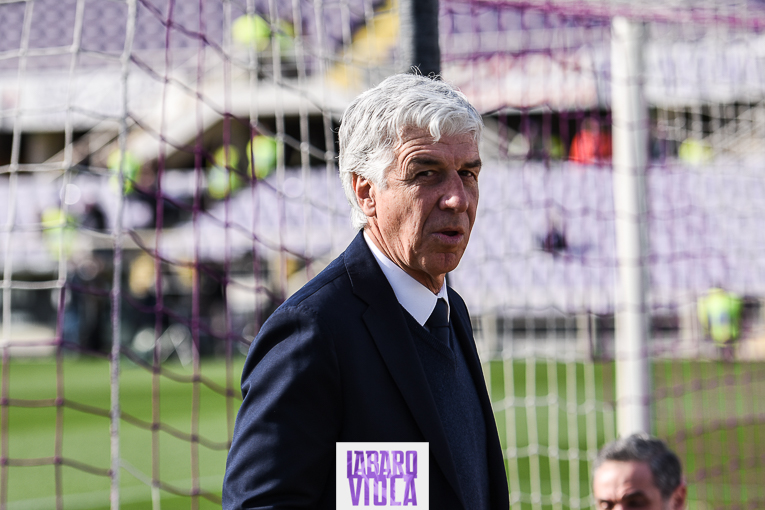 Gasperini gasperini