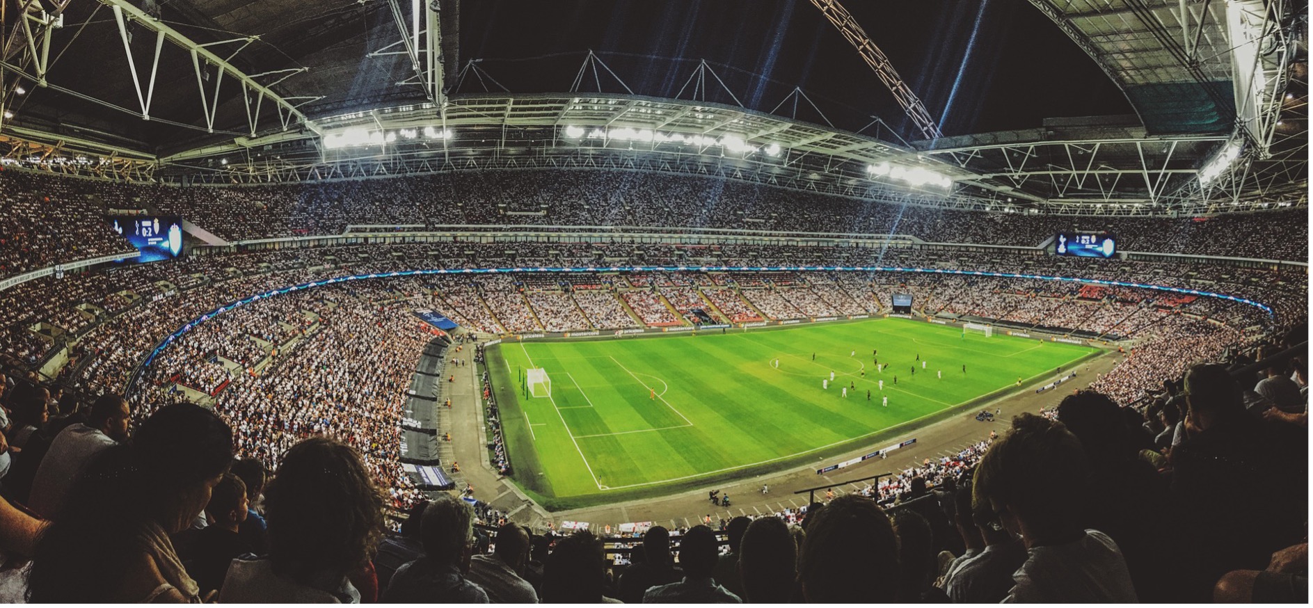 Roberto Baggio, la sua storia in maglia Viola