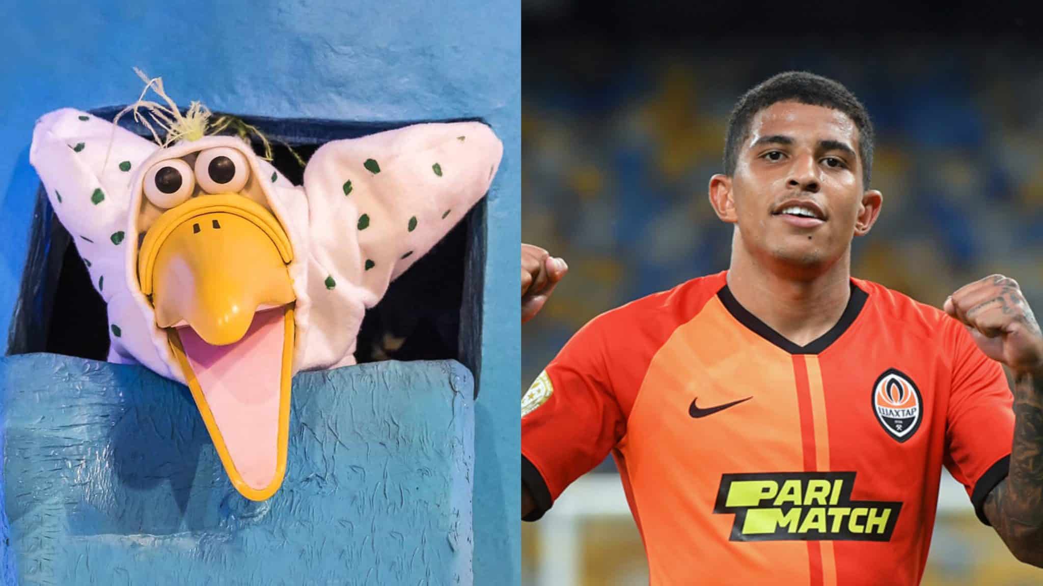 Indizio social, Dodò è in arrivo: la Fiorentina pubblica Dodò dell’Albero Azzurro