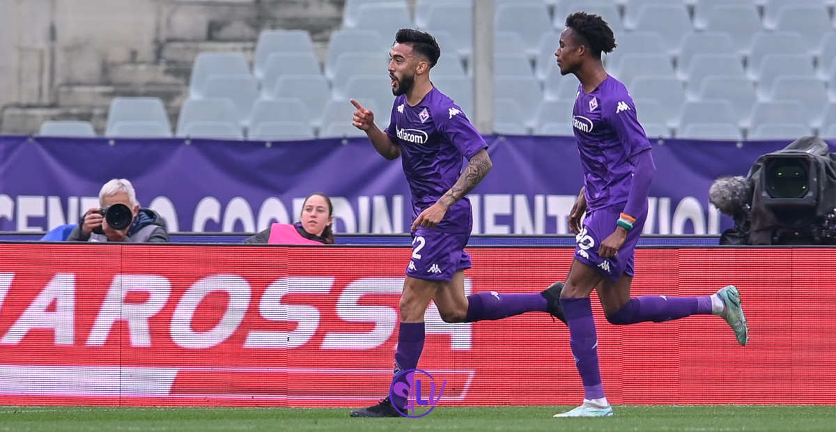 La Fiorentina cerca uno stadio: le ipotesi sono tante ma al momento nulla è stato deciso