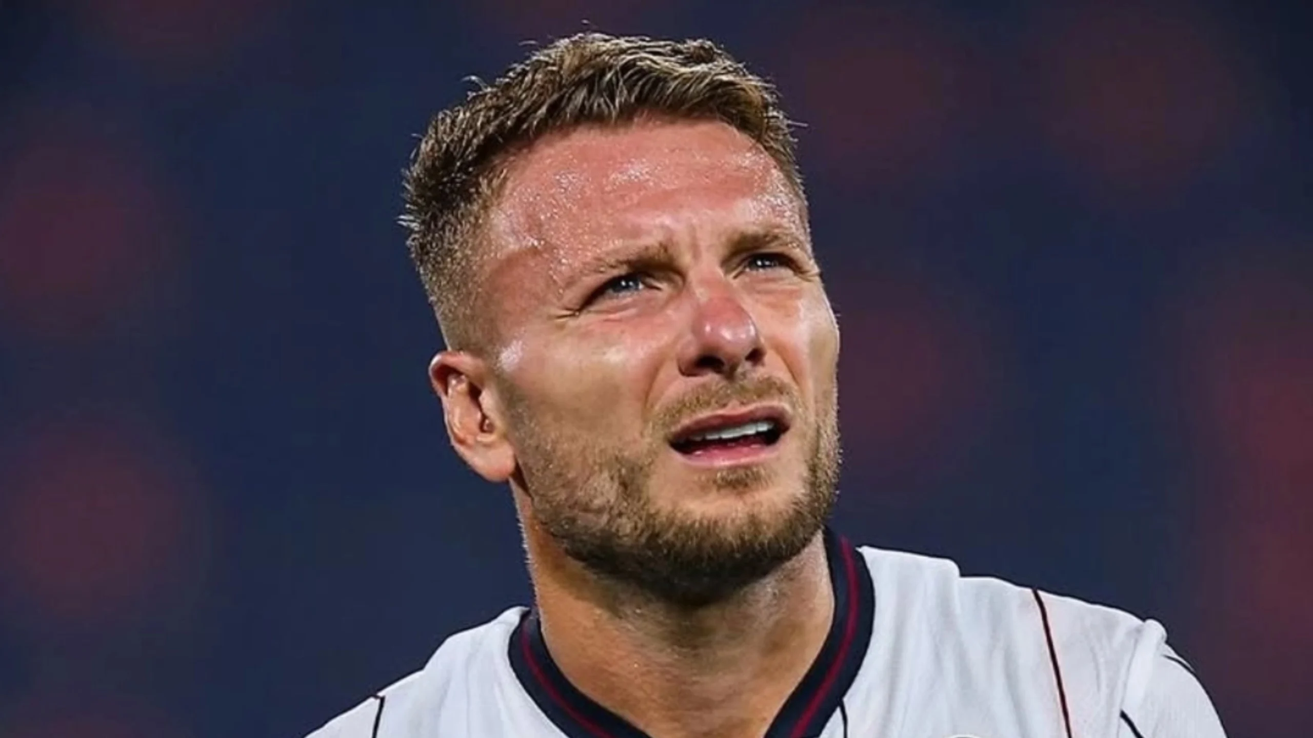 Scandalo Immobile: sequestrata la sua Academy per abusi edilizi e smaltimento illecito